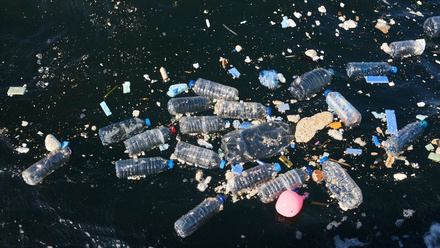 Managing dry waste at sea in spotlight_NL.jpg