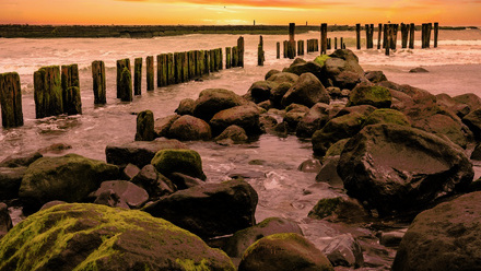 Mining the seabed_ concerns for marine life NL.jpg