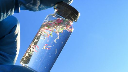 Collecting water samples contaminated with microplastics, plastic pollution  CREDIT: Shutterstock