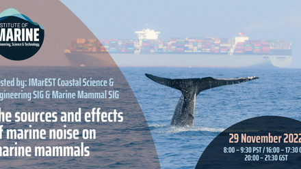 Image for WEBINAR: The sources and effects of marine noise on marine mammals (6774)