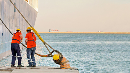 Image for Catching up with the vital work of the Human Element Working Group (6908)