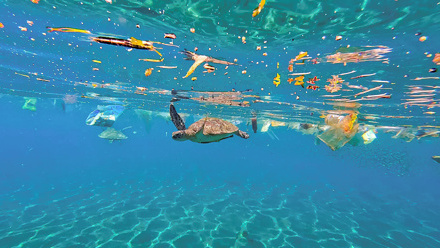 Microplastics – the true danger to our oceans_NL2.jpg