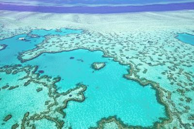IMarEST | Race on to save the Great Barrier Reef