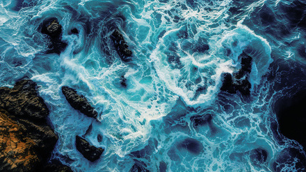 Decarbonisation and skills shortages in focus_NL.jpg