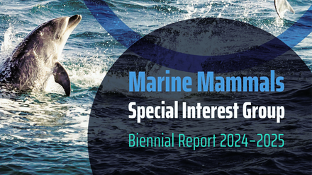 MMSIG biennial report 2425 featured image .png