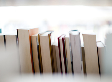 Row of books against bright background.