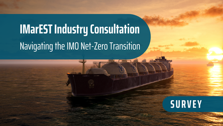 Consultation IMO Net-Zero Shipping Strategy_Survey.png