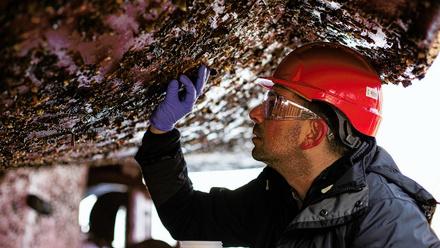 Event Image - Biofouling.jpg