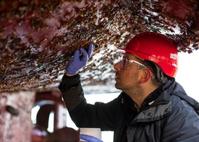 Event Image - Biofouling.jpg