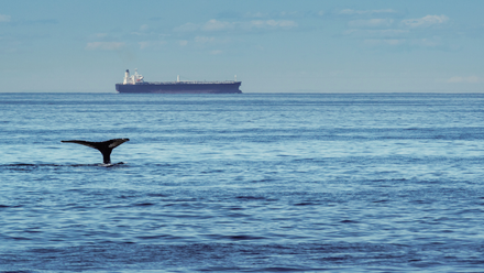 navigating with nature featured.png