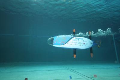 sub race 2024.jpg