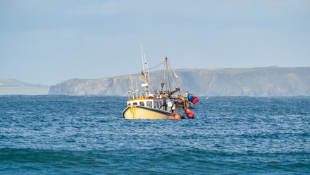 iStock-1350194966.jpg