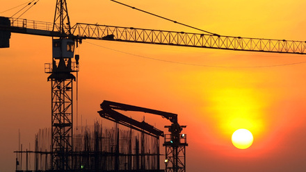 Cranes 2023.jpg