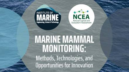 marine-mammal-monitoring-report-thumbnail.jpg