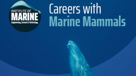 Image for IMarEST's new careers guide: Careers with Marine Mammals (6604)