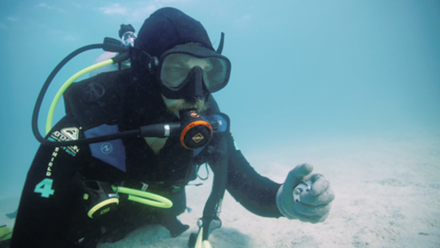 Alan Coral fish _featured image.png