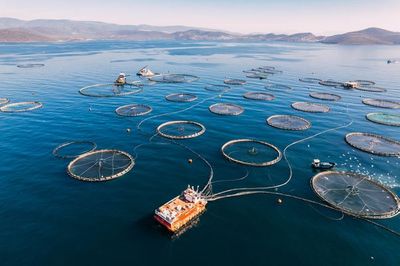 IMarEST | Global Fisheries Improvements