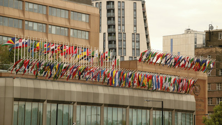 IMO iStock-2208091529.jpg