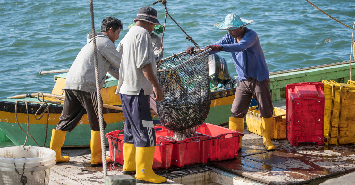 Cape Town Agreement_featured image.png