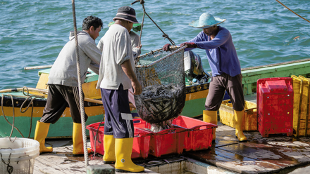 Cape Town Agreement_featured image.png