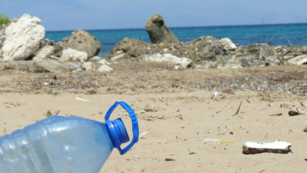 Image for Health and safety habits vs sustainability on board (6909)