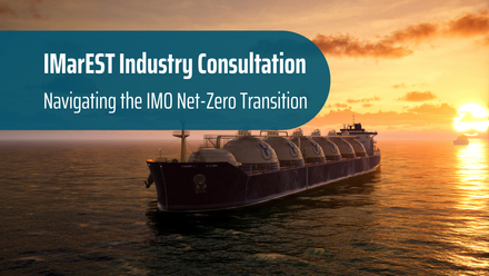 Consultation IMO Net-Zero Shipping Strategy SEE SIG.png