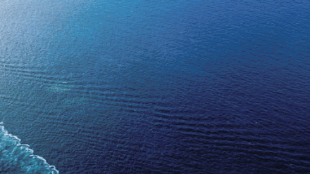 Networking and support ‘key benefits’ of membership_MAIN.jpg