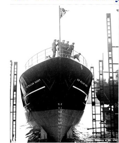 Picture1.jpg